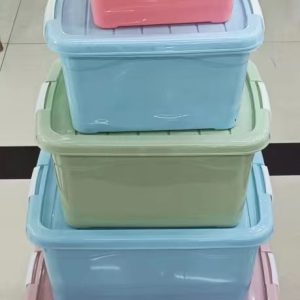 Caja Organizadora Plastica Color con Tapa