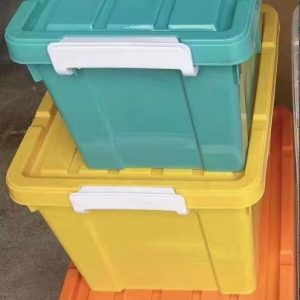 Caja Organizadora Plastica Color con Tapa