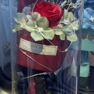 Lampara Rosa Envuelta I Met You