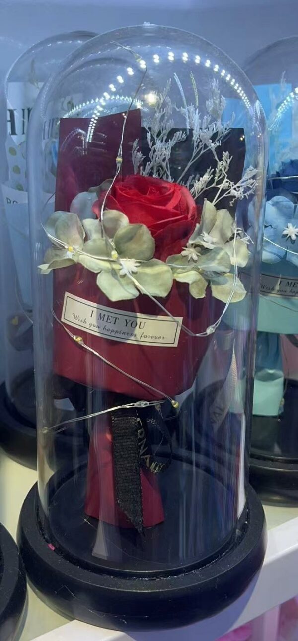 Lampara Rosa Envuelta I Met You