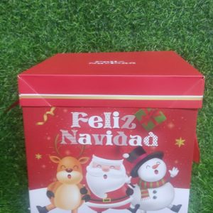 Nav Caja De Regalo