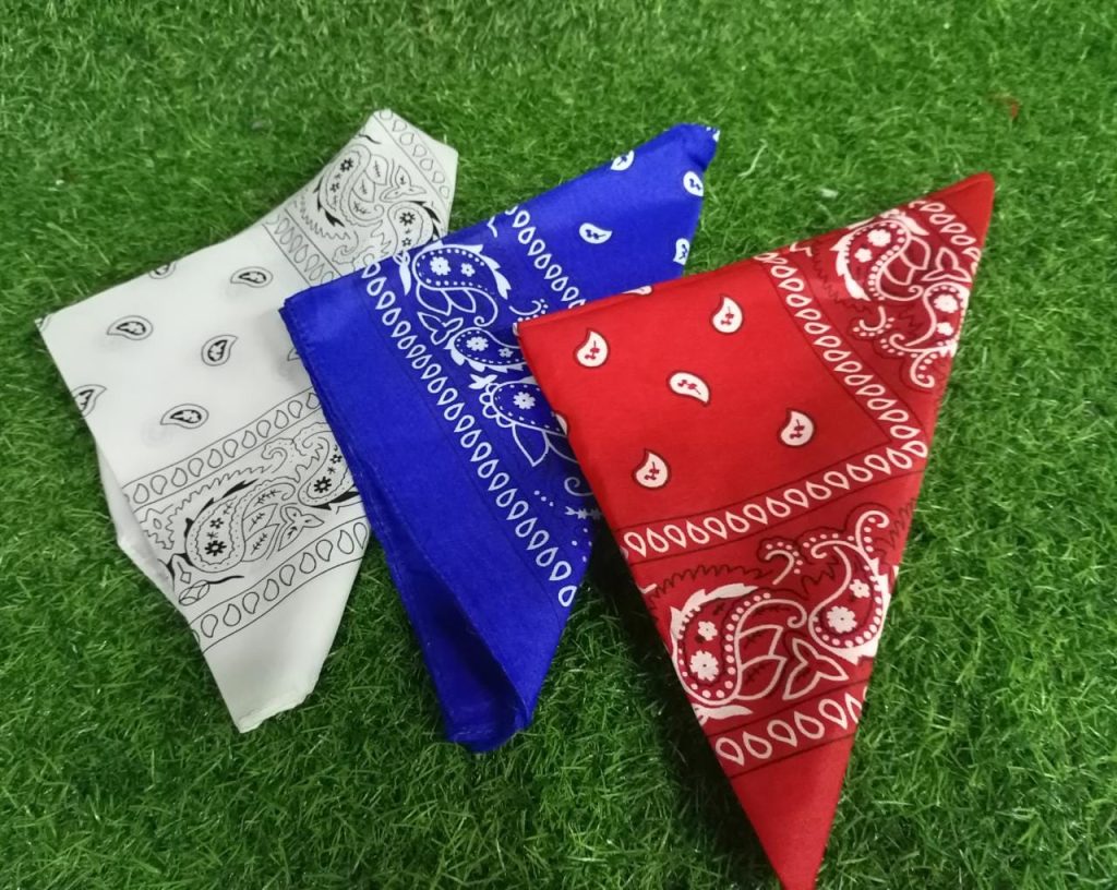 Pañuelo Típico - Almacén Rojo Vivo