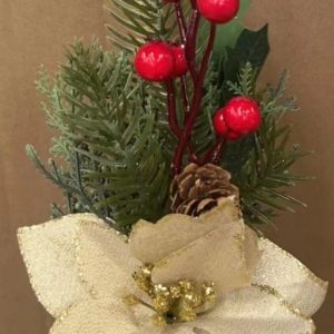 Nav Rama Con Pastora