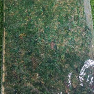 Nav Alfombra Musgo