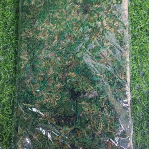 Nav Alfombra De Musgo
