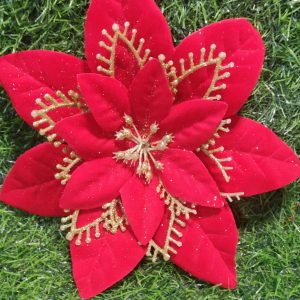 Nav Pastora Sencilla