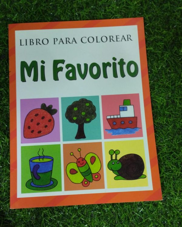 Libro De Pintar