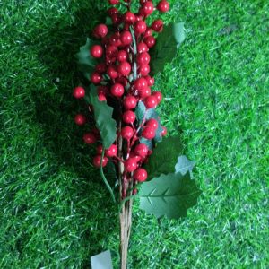 Nav Rama Frutos Rojos