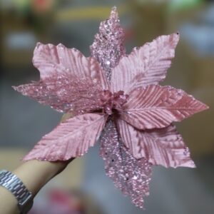 Nav Pastora Con Hoja Maya