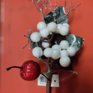 Nav Rama Con Manzana y Frutos Blancos