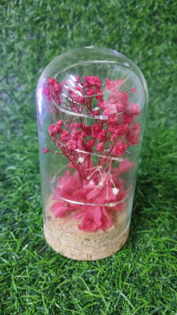 Lampara Flores Encapsuladas - Imagen 4