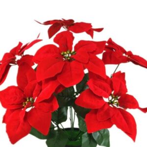 Nav Ramo De Pastoras