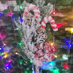 Nav Rama Con Nieve Y Bastones