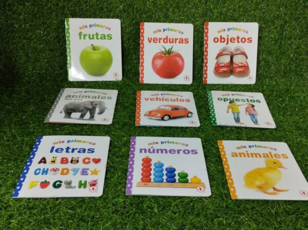 Libro Educativo En Español