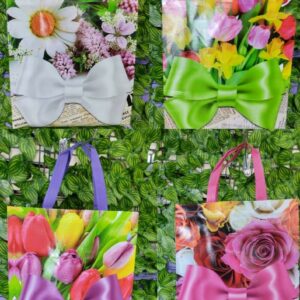 Bolsa de Compra Estampada  Lazo 