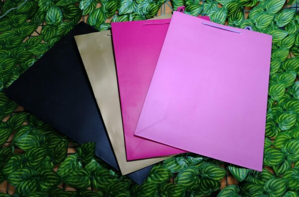 Bolsa De Regalo Unicolor