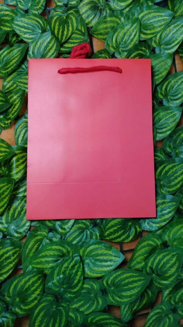 Bolsa De Regalo Unicolor - Imagen 9