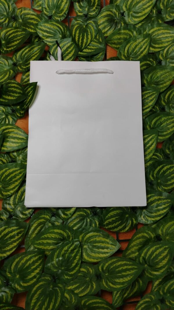 Bolsa De Regalo Unicolor - Imagen 8