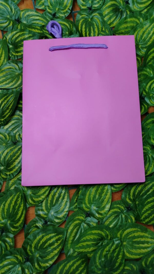 Bolsa De Regalo Unicolor - Imagen 7