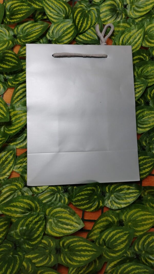 Bolsa De Regalo Unicolor - Imagen 10