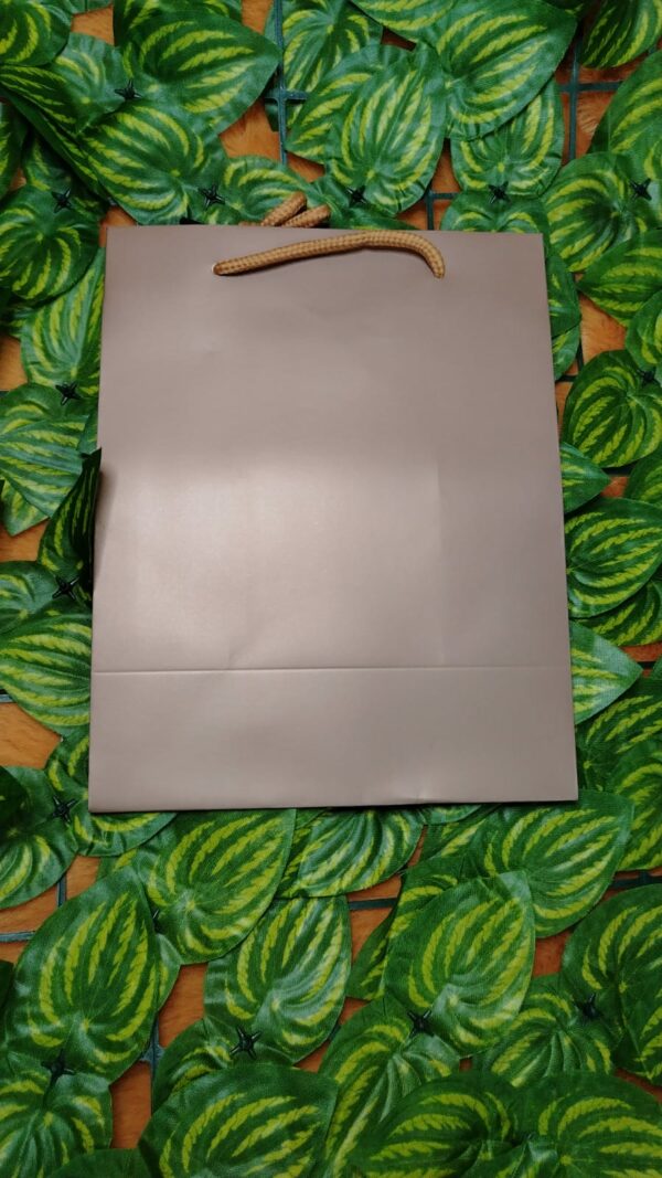 Bolsa De Regalo Unicolor - Imagen 2