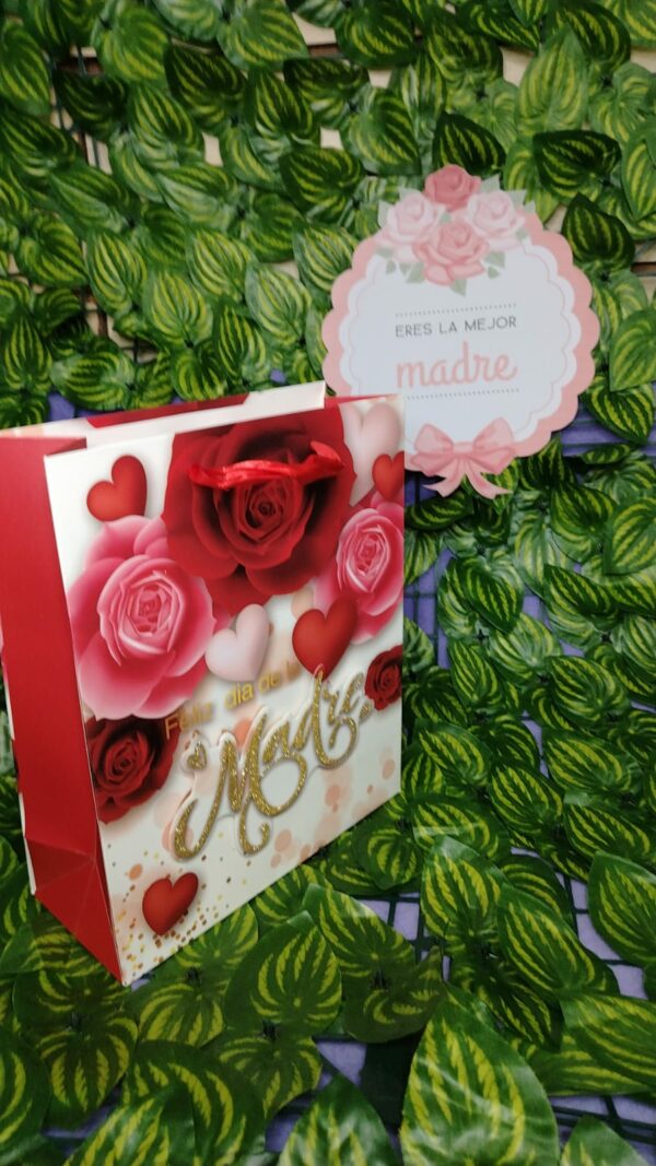 Bolsa de Regalo Con Relieve - Imagen 4