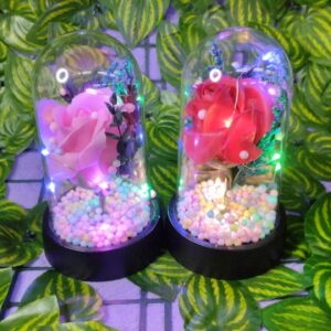 Rosa Encapsulada Con Luz