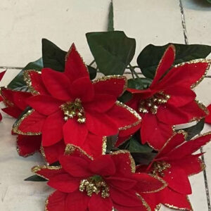 Nav Pastoras Con Borde Escarchado