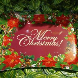 Nav Bandeja Plastica