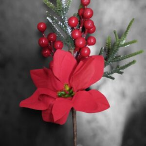 Nav Rama Con Pastora Y Frutos