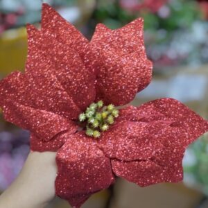 Nav Pastora Con Escarcha