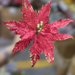 Nav Pastora Con Borde Escarchado