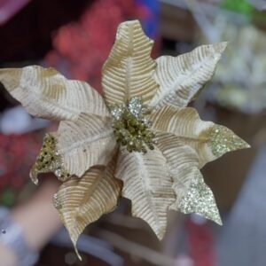 Nav Pastora Con Escarcha Dorado