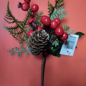 Nav Rama Con Piña Y Frutos Rojos