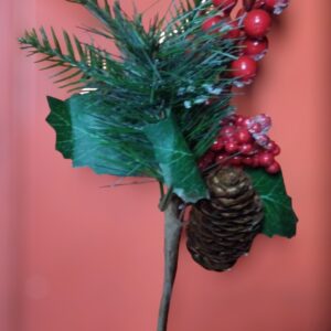 Nav Rama Con Nieve Derretida Y Frutos Rojos