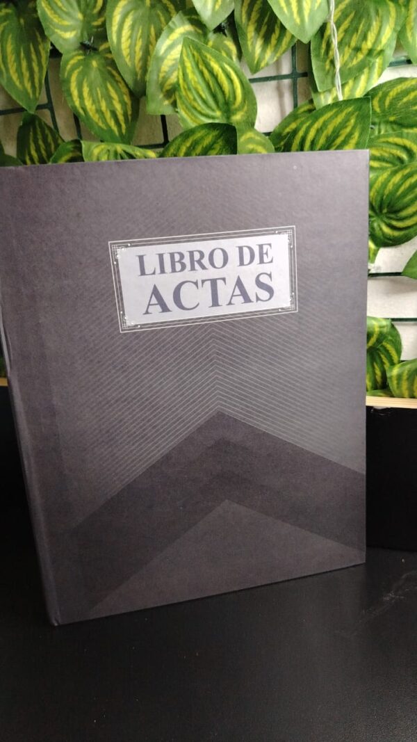 Libro Actas Facela