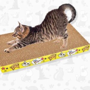 Rascador De Cartón Rectangular Para Gato
