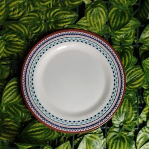 Plato De Melamina Con Diseño En El Borde #8