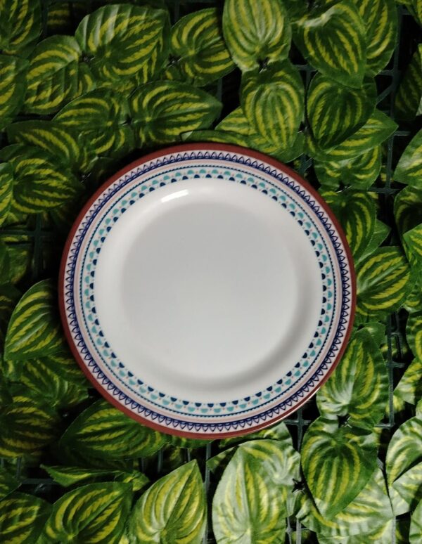 Plato De Melamina Con Diseño En El Borde #8