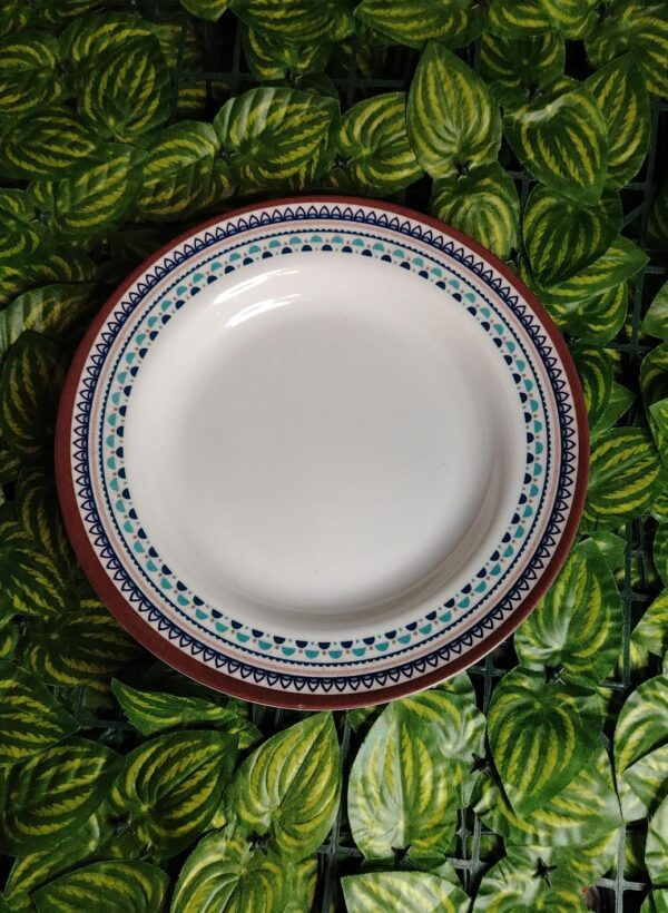 Plato De Melamina Con Diseño En El Borde #10