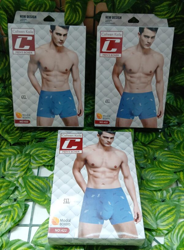 Boxer De Hombre Estampado Corto En Caja